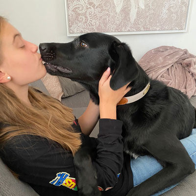 geretteter Hund geretteter Strassenhund